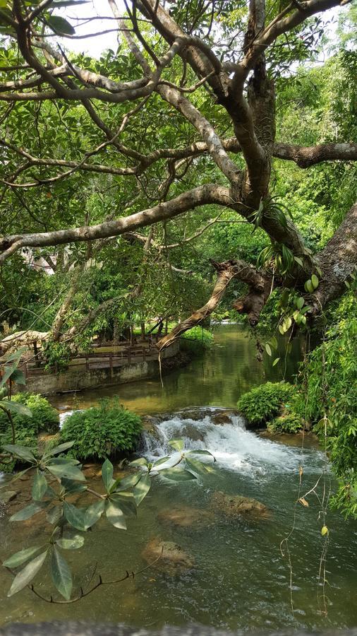 Khao Nam Fah Resort Pak Chong Dış mekan fotoğraf